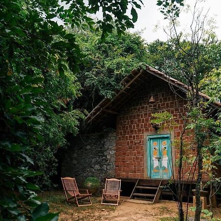 Vihanga Village - Jungle Retreat In Dambulla Dış mekan fotoğraf